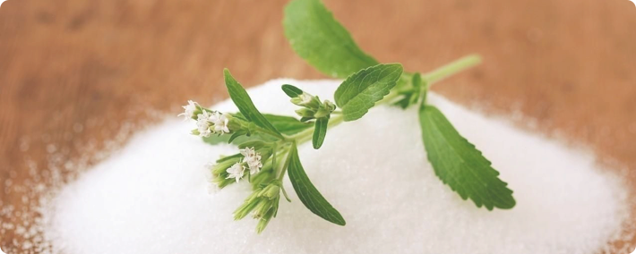 The history and new opportunities of stevia-the third sugar source in the world